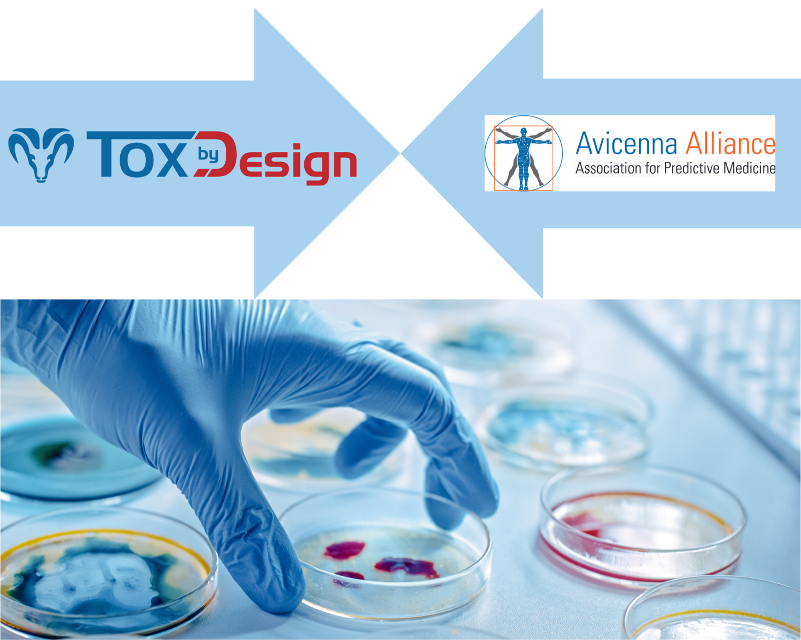 The Avicenna Alliance warmly welcomes Tox By Design into its esteemed ranks!