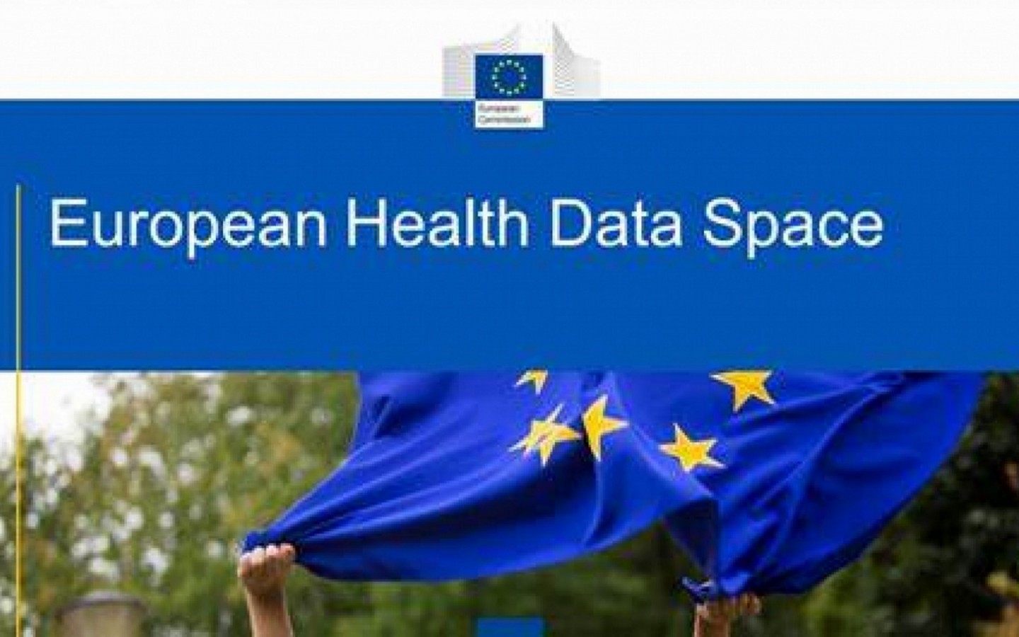 Avicenna Alliance Feedback to the European Health Data Space Call for Feedback