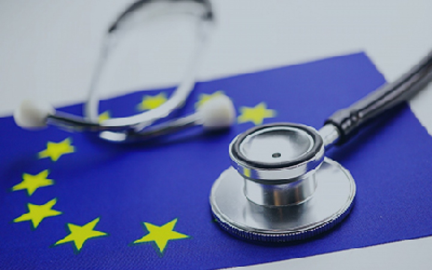 Avicenna Alliance prepares for the next EU policy session