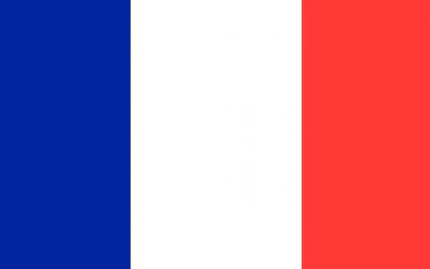 FR - PPI Website_French