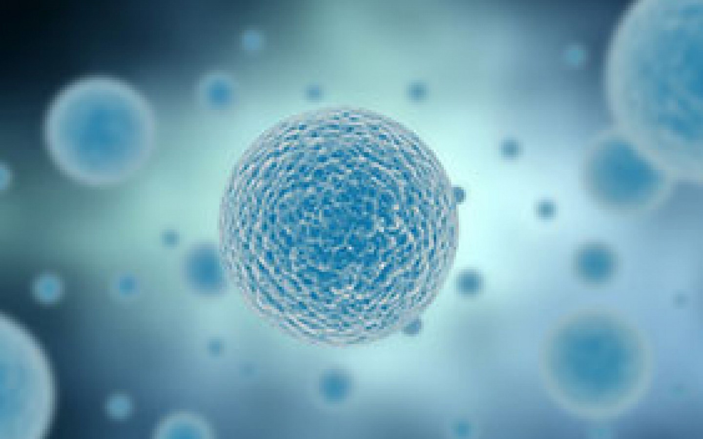 In silico method mentioned in JRC report on alternatives to animal testing