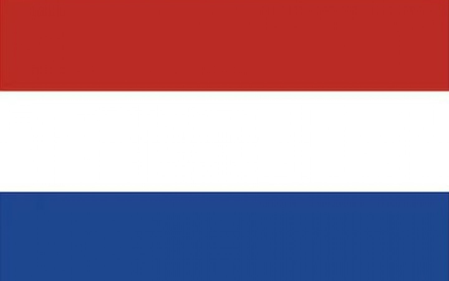 NL - PPI Website_Dutch