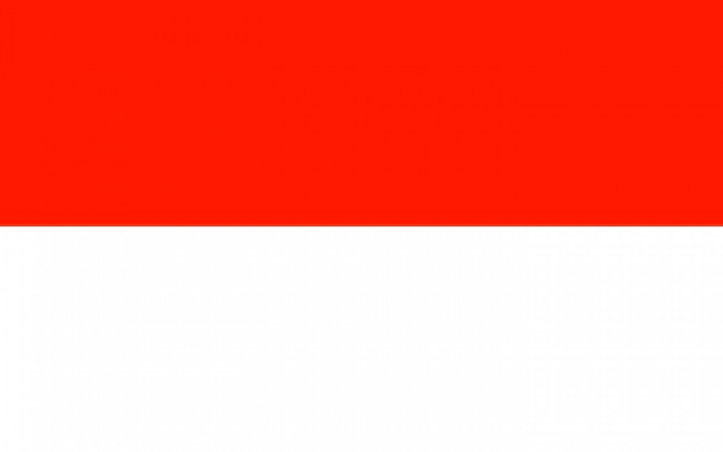 PL - PPI Website_Polish
