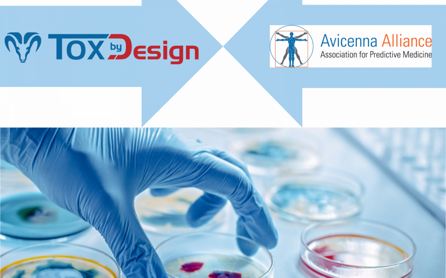 The Avicenna Alliance warmly welcomes Tox By Design into its esteemed ranks!