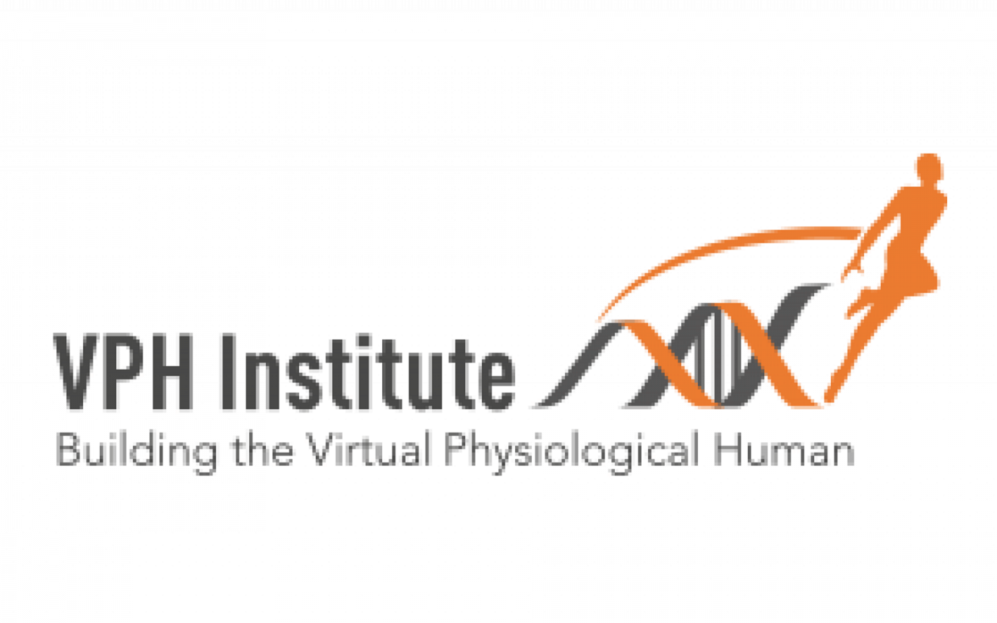VPH institute – Drives In Silico technology to the clinic