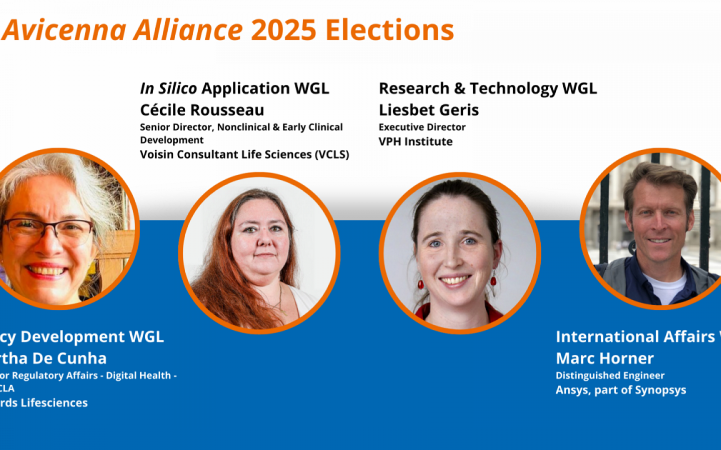 Working Group Leaders Elections 2025
